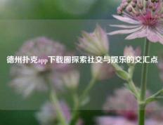 德州扑克app下载圈探索社交与娱乐的交汇点