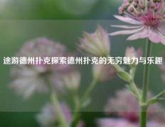 途游德州扑克探索德州扑克的无穷魅力与乐趣