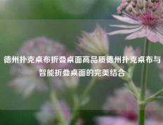 德州扑克桌布折叠桌面高品质德州扑克桌布与智能折叠桌面的完美结合