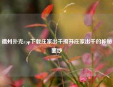 德州扑克app下载庄家出千揭开庄家出千的神秘面纱