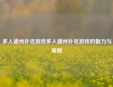 多人德州扑克游戏多人德州扑克游戏的魅力与策略