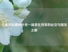 公务员玩德州扑克一场非比寻常的社交与娱乐之旅
