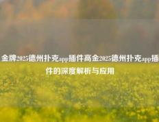金牌2025德州扑克app插件高金2025德州扑克app插件的深度解析与应用