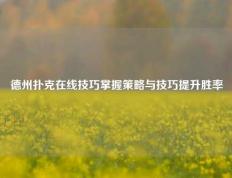 德州扑克在线技巧掌握策略与技巧提升胜率