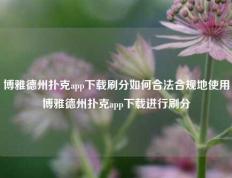 博雅德州扑克app下载刷分如何合法合规地使用博雅德州扑克app下载进行刷分