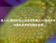 真人2025德州扑克app拉老虎机真人2025德州扑克与虚拟老虎机的融合体验