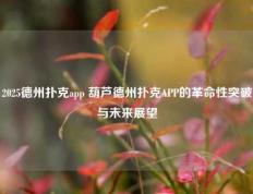 2025德州扑克app 葫芦德州扑克APP的革命性突破与未来展望