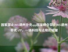 国家禁止2025德州扑克app国家明令禁止2025德州扑克APP，一场科技与法规的较量