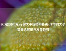 2025德州扑克app的大小盲德州扑克APP中的大小盲概念解析与发展趋势