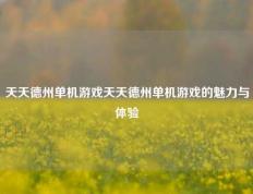 天天德州单机游戏天天德州单机游戏的魅力与体验
