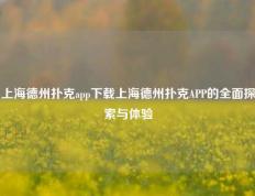 上海德州扑克app下载上海德州扑克APP的全面探索与体验