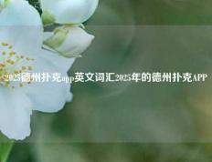 2025德州扑克app英文词汇2025年的德州扑克APP
