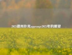 2025德州扑克apprange2025年的展望
