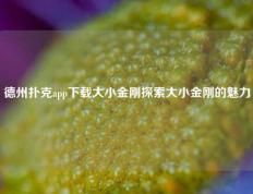 德州扑克app下载大小金刚探索大小金刚的魅力