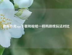 德州扑克app下载和梭哈一样吗游戏玩法对比