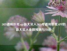 2025德州扑克app最大买入2025年德州扑克APP的最大买入金额预测与分析