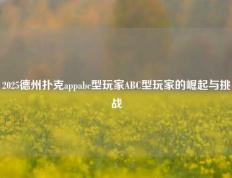 2025德州扑克appabc型玩家ABC型玩家的崛起与挑战