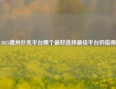2025德州扑克平台哪个最好选择最佳平台的指南