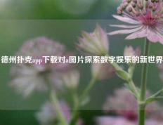 德州扑克app下载对a图片探索数字娱乐的新世界