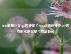2025德州扑克app游戏图片2025年德州扑克APP游戏的未来展望与发展趋势