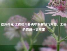 德州扑克 王强德州扑克中的智慧与策略，王强的德州扑克故事