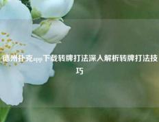 德州扑克app下载转牌打法深入解析转牌打法技巧