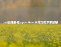 2025德州扑克app6人桌6人桌游戏的未来展望