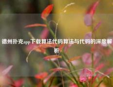 德州扑克app下载算法代码算法与代码的深度解析