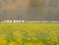 sm计算器 德州扑克A Comprehensive Guide to Success