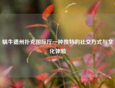 蜗牛德州扑克国际厅一种独特的社交方式与文化体验