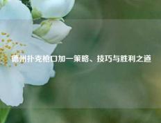 德州扑克枪口加一策略、技巧与胜利之道