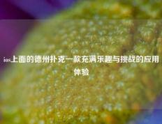 ios上面的德州扑克一款充满乐趣与挑战的应用体验
