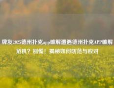 牌友2025德州扑克app破解遭遇德州扑克APP破解危机？别慌！揭秘如何防范与应对