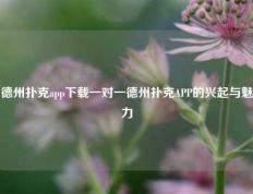 德州扑克app下载一对一德州扑克APP的兴起与魅力