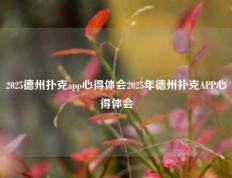 2025德州扑克app心得体会2025年德州扑克APP心得体会