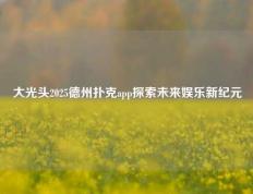 大光头2025德州扑克app探索未来娱乐新纪元