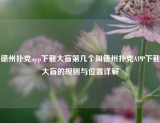 德州扑克app下载大盲第几个叫德州扑克APP下载大盲的规则与位置详解