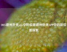 2025德州扑克app中的位置德州扑克APP中的新位置探索