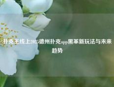 扑克王线上2025德州扑克app黑革新玩法与未来趋势