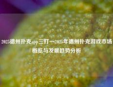 2025德州扑克app三打一2025年德州扑克游戏市场概览与发展趋势分析