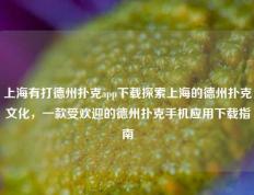 上海有打德州扑克app下载探索上海的德州扑克文化，一款受欢迎的德州扑克手机应用下载指南