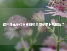 德州扑克赛报名费揭秘高额赛事的隐藏成本