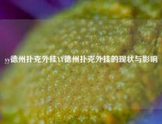 yy德州扑克外挂YY德州扑克外挂的现状与影响