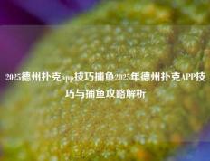 2025德州扑克app技巧捕鱼2025年德州扑克APP技巧与捕鱼攻略解析
