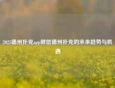 2025德州扑克app微信德州扑克的未来趋势与机遇
