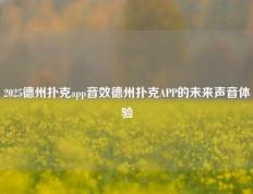 2025德州扑克app音效德州扑克APP的未来声音体验