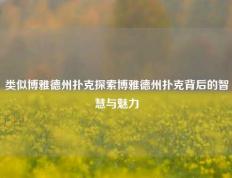 类似博雅德州扑克探索博雅德州扑克背后的智慧与魅力