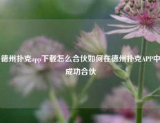 德州扑克app下载怎么合伙如何在德州扑克APP中成功合伙