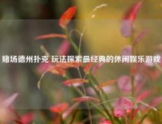 赌场德州扑克 玩法探索最经典的休闲娱乐游戏