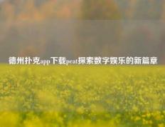 德州扑克app下载peat探索数字娱乐的新篇章